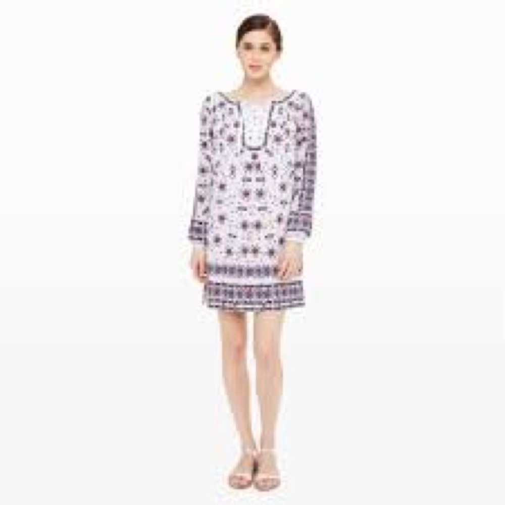 Club Monaco Salwa Embroidered Dress